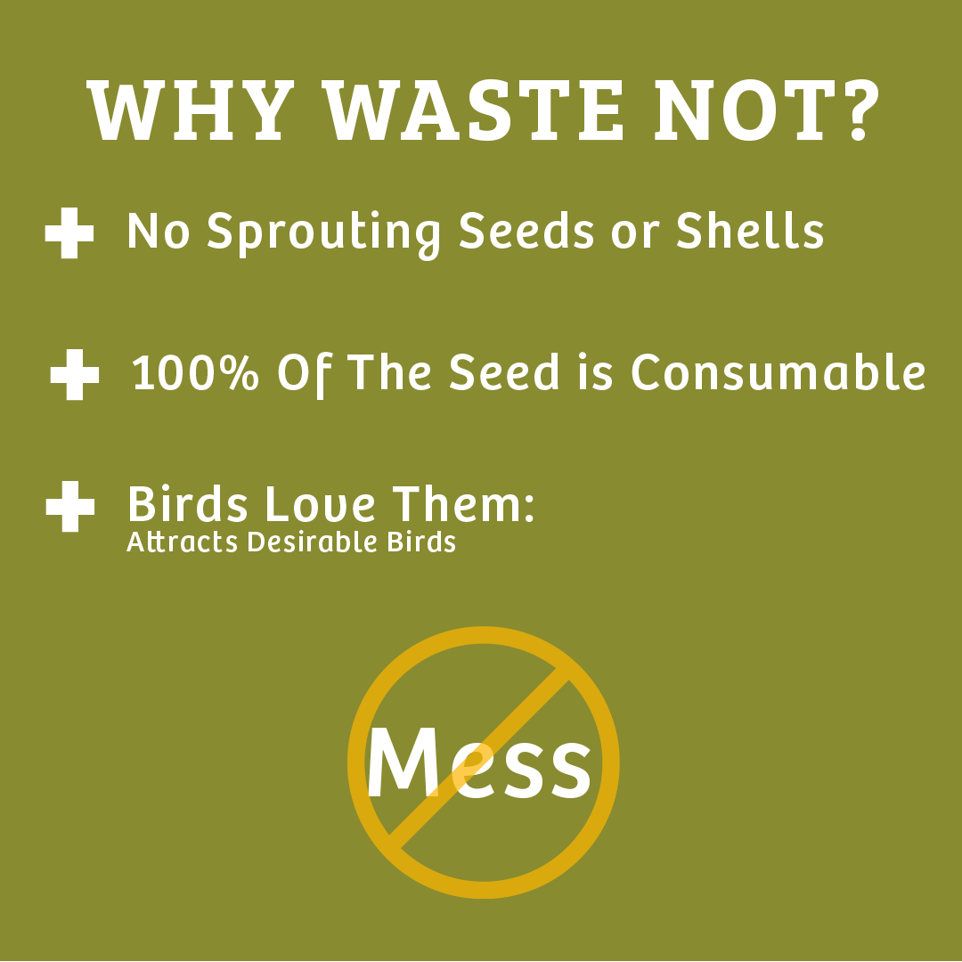 Wild Bird Food product image 4