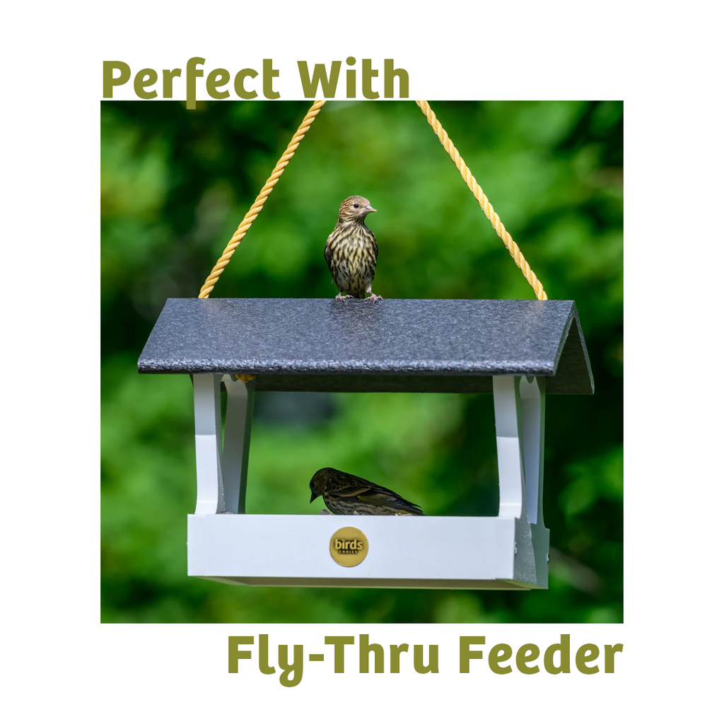 Wild Bird Food product image 7