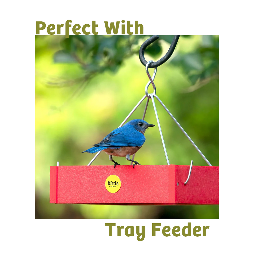 Wild Bird Food product image 8