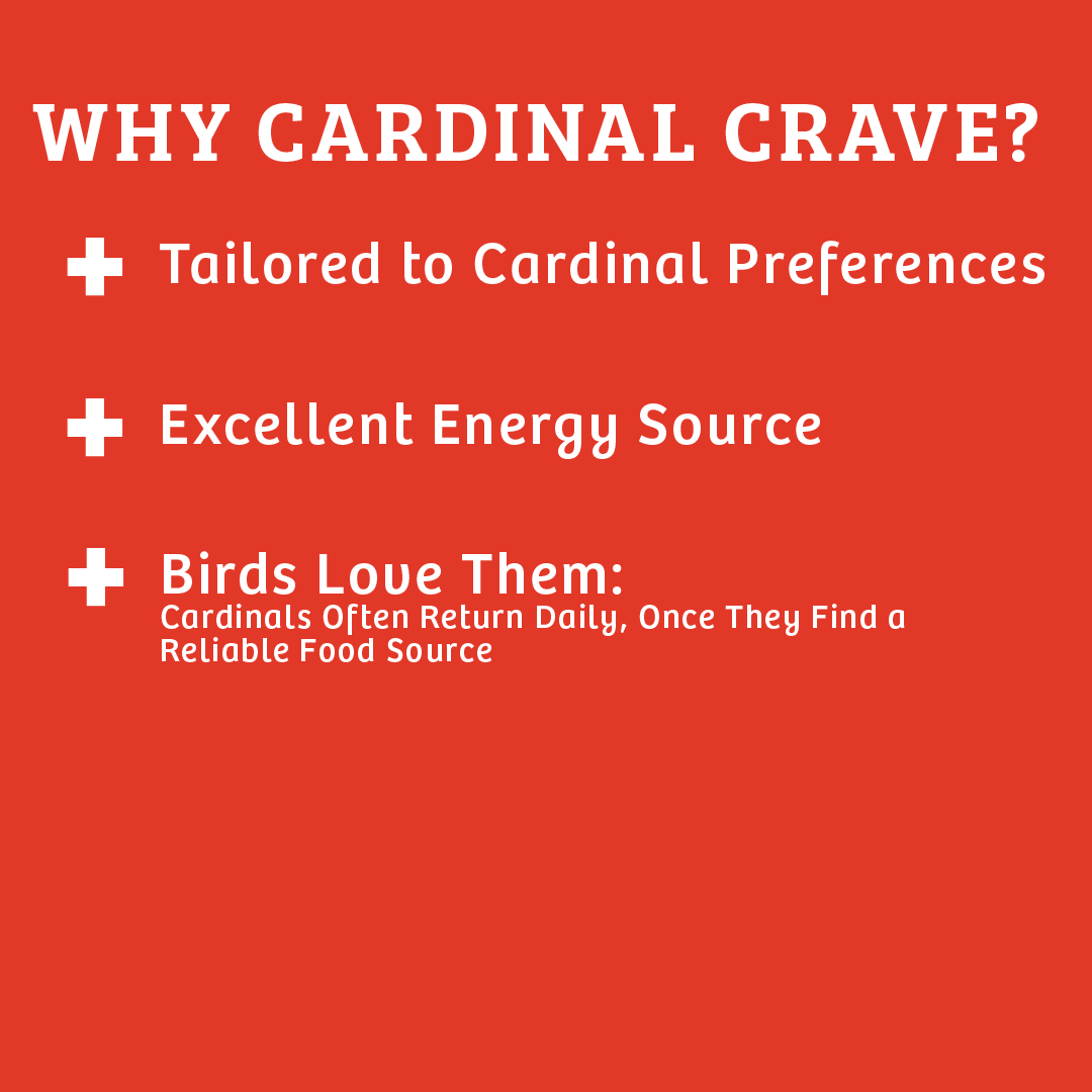 Wild Bird Food product image 3