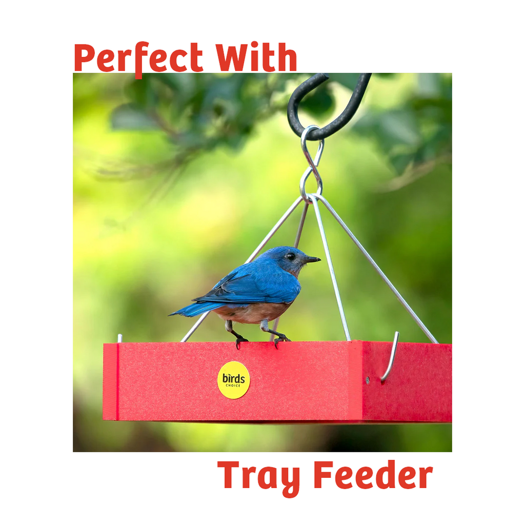 Wild Bird Food product image 7