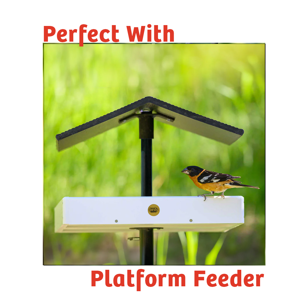 Wild Bird Food product image 8