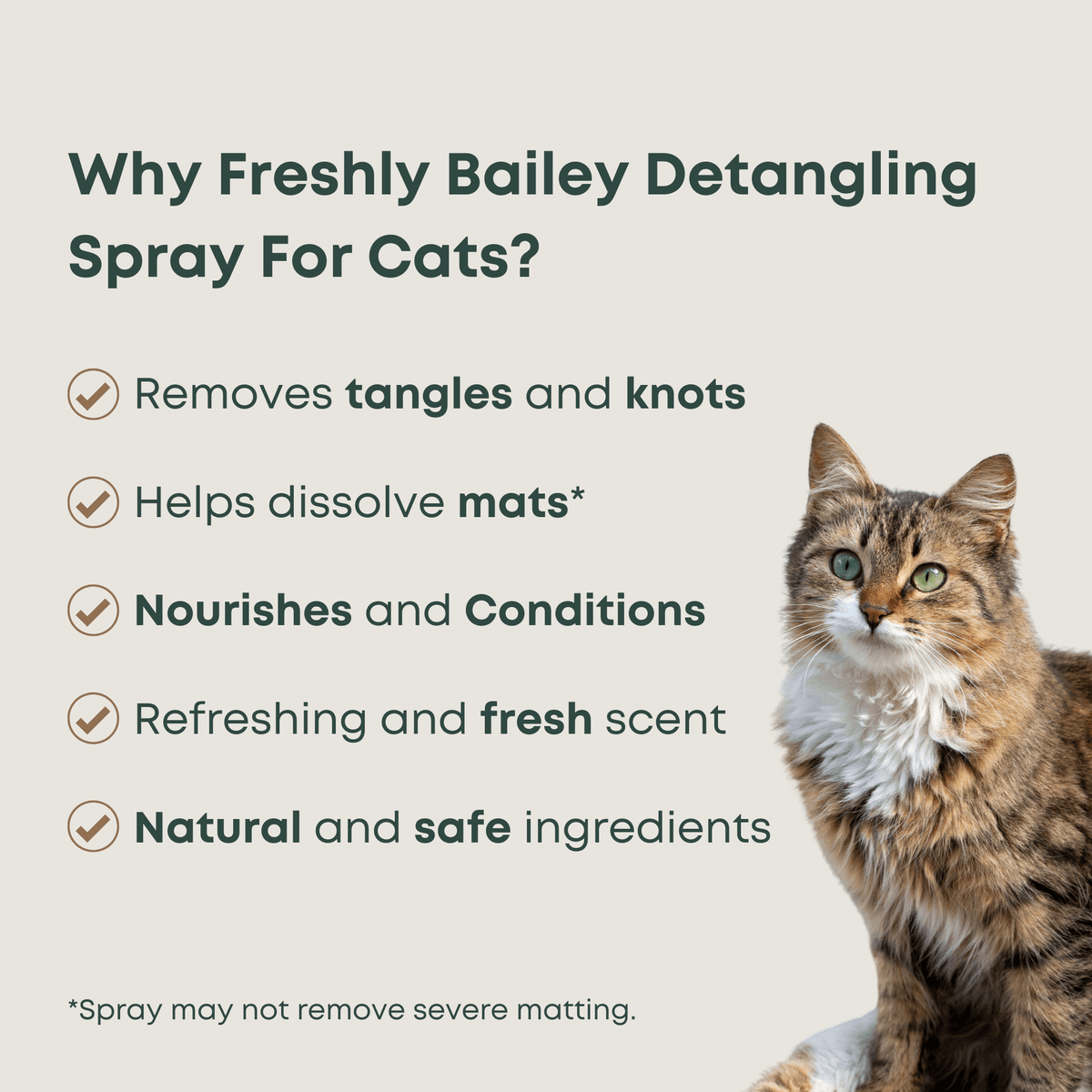 Cat Detangling Spray product image 2