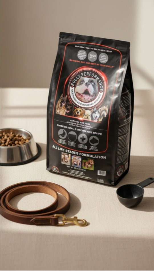 High-Protein All-Life-Stages Dry Dog Food product image 10