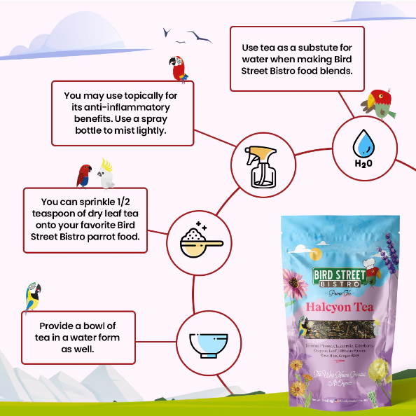 Parrot Food Super Pack product image 5
