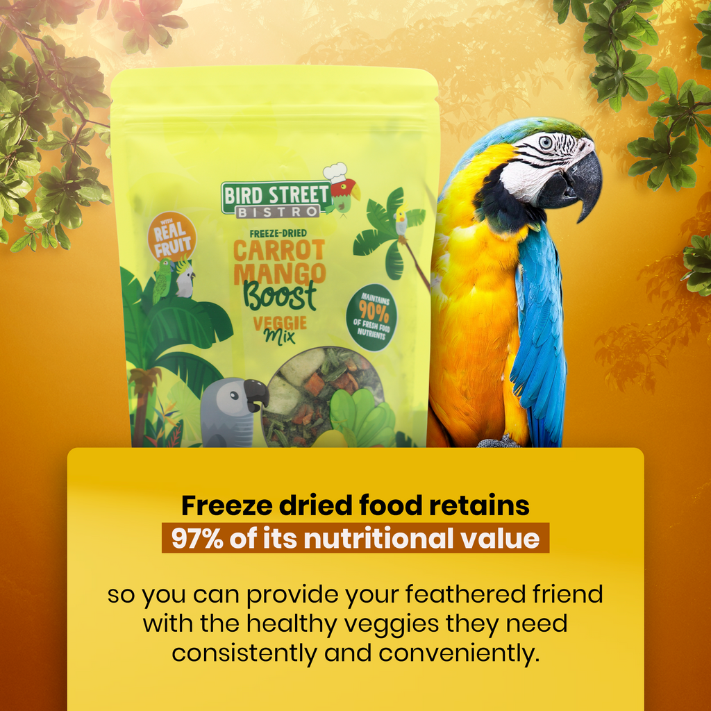 Parrot Food Super Pack product image 6