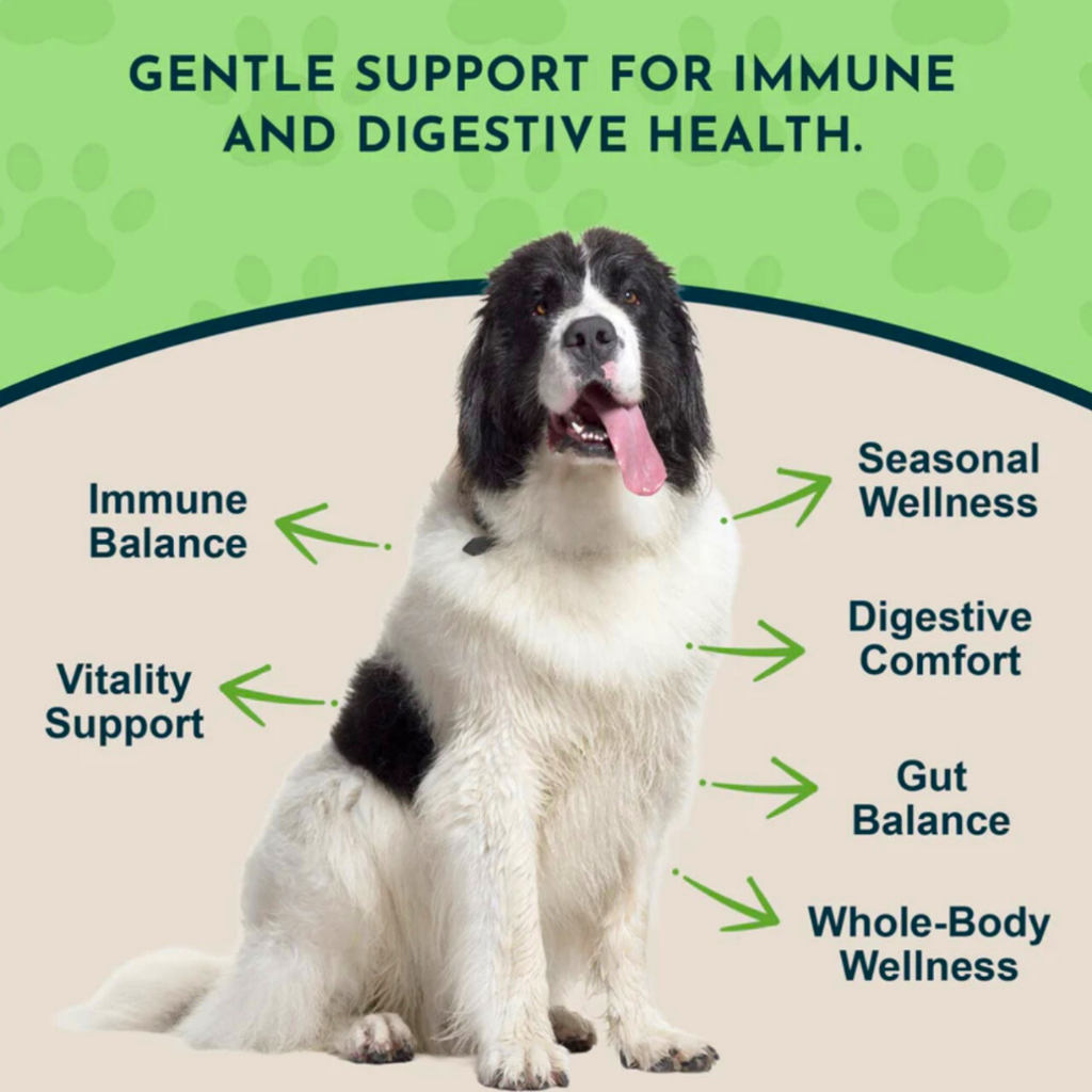 Dog Garlic Supplement product image 2