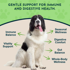 Dog Garlic Supplement product image 2