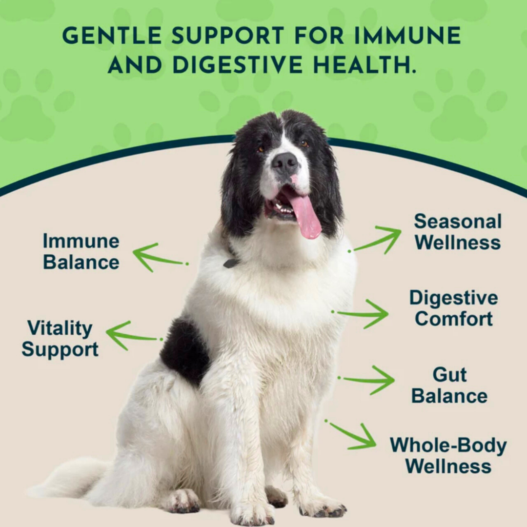 Dog Garlic Supplement product image 2