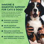 Dog Garlic Supplement product image 3