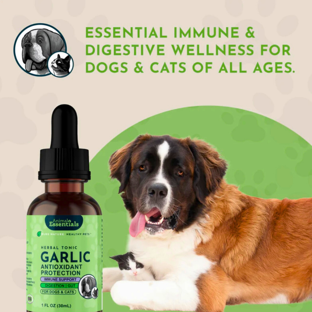 Dog Garlic Supplement product image 4