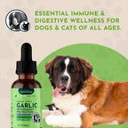 Dog Garlic Supplement product image 4