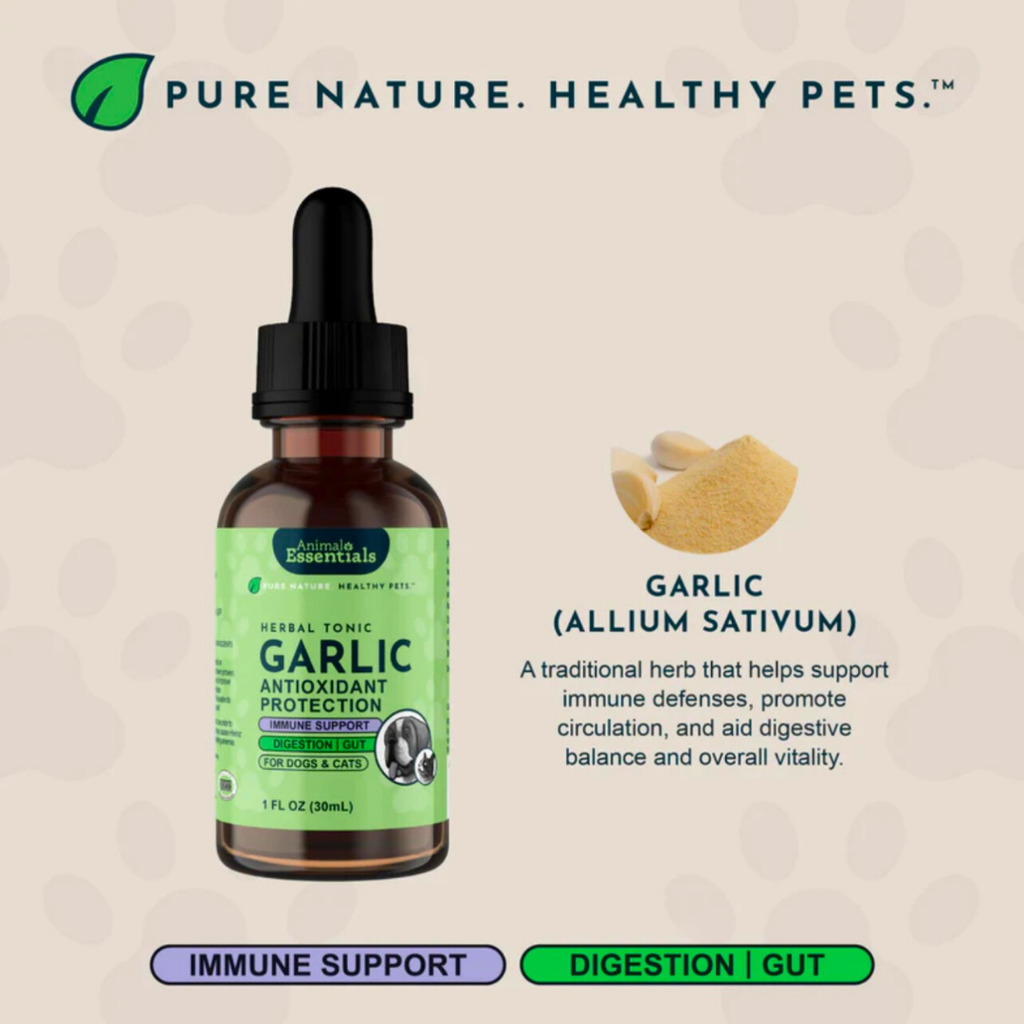 Dog Garlic Supplement product image 5
