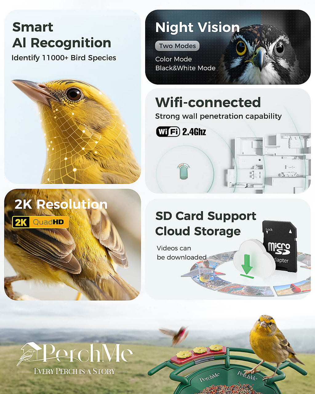 Smart Bird Feeder product image 3