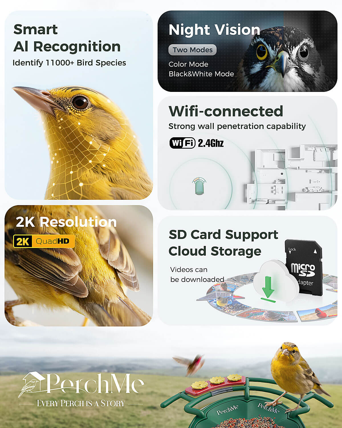 Smart Bird Feeder product image 3