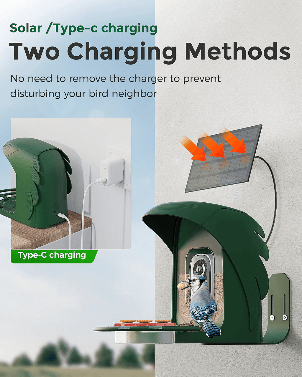 Smart Bird Feeder product image 13