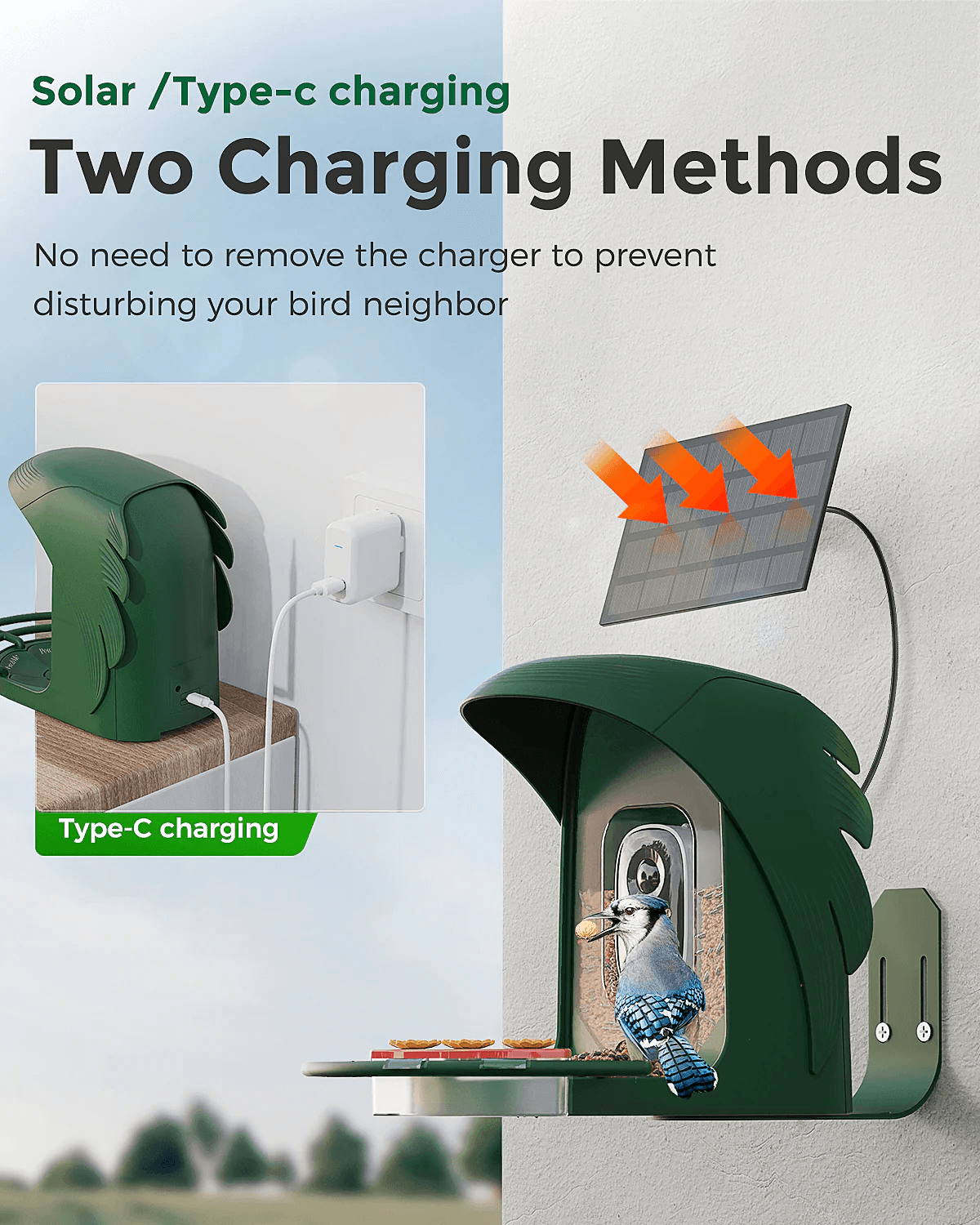 Smart Bird Feeder product image 13