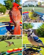 Smart Bird Feeder product image 23