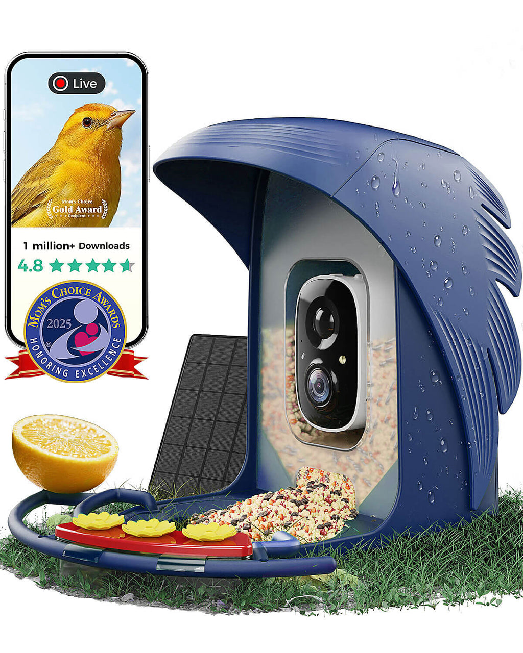 Smart Bird Feeder product image 33