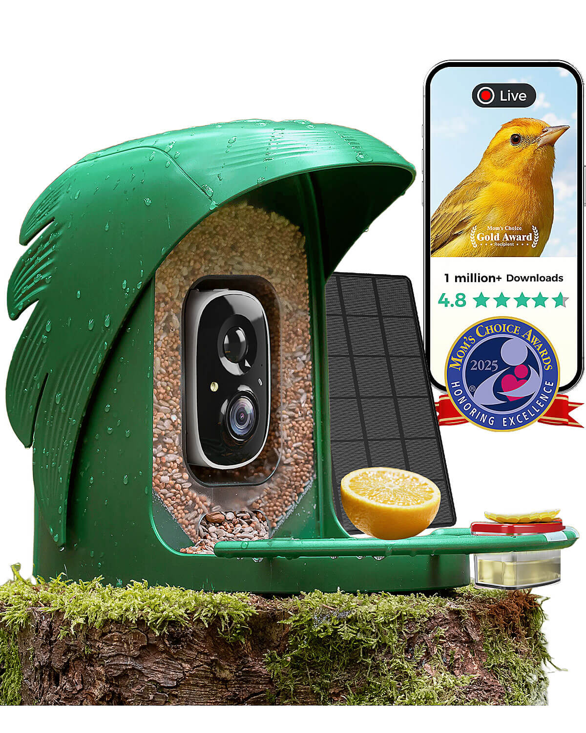 Smart Bird Feeder product image 34