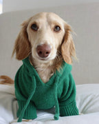 Dog Hoodie product image 1