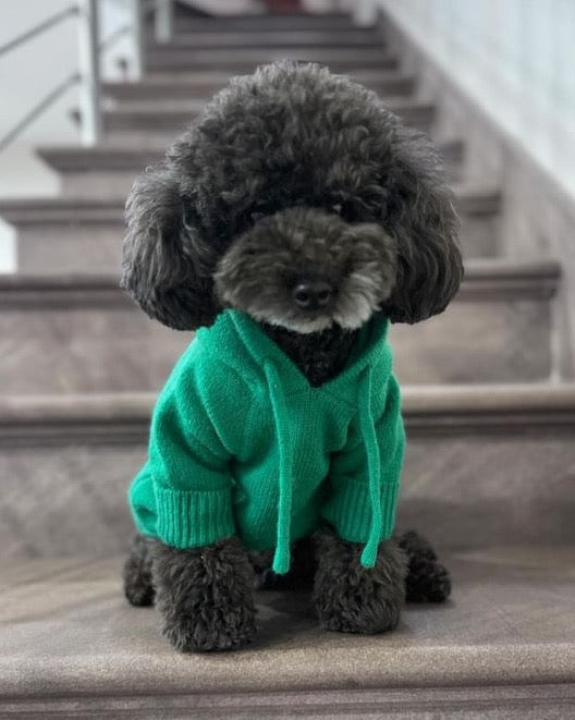 Dog Hoodie product image 3