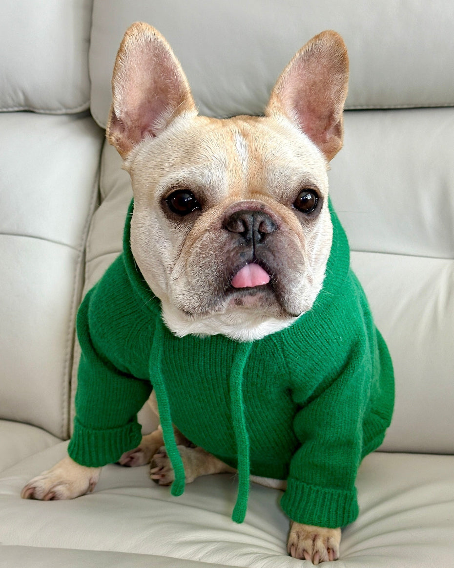 Dog Hoodie product image 5