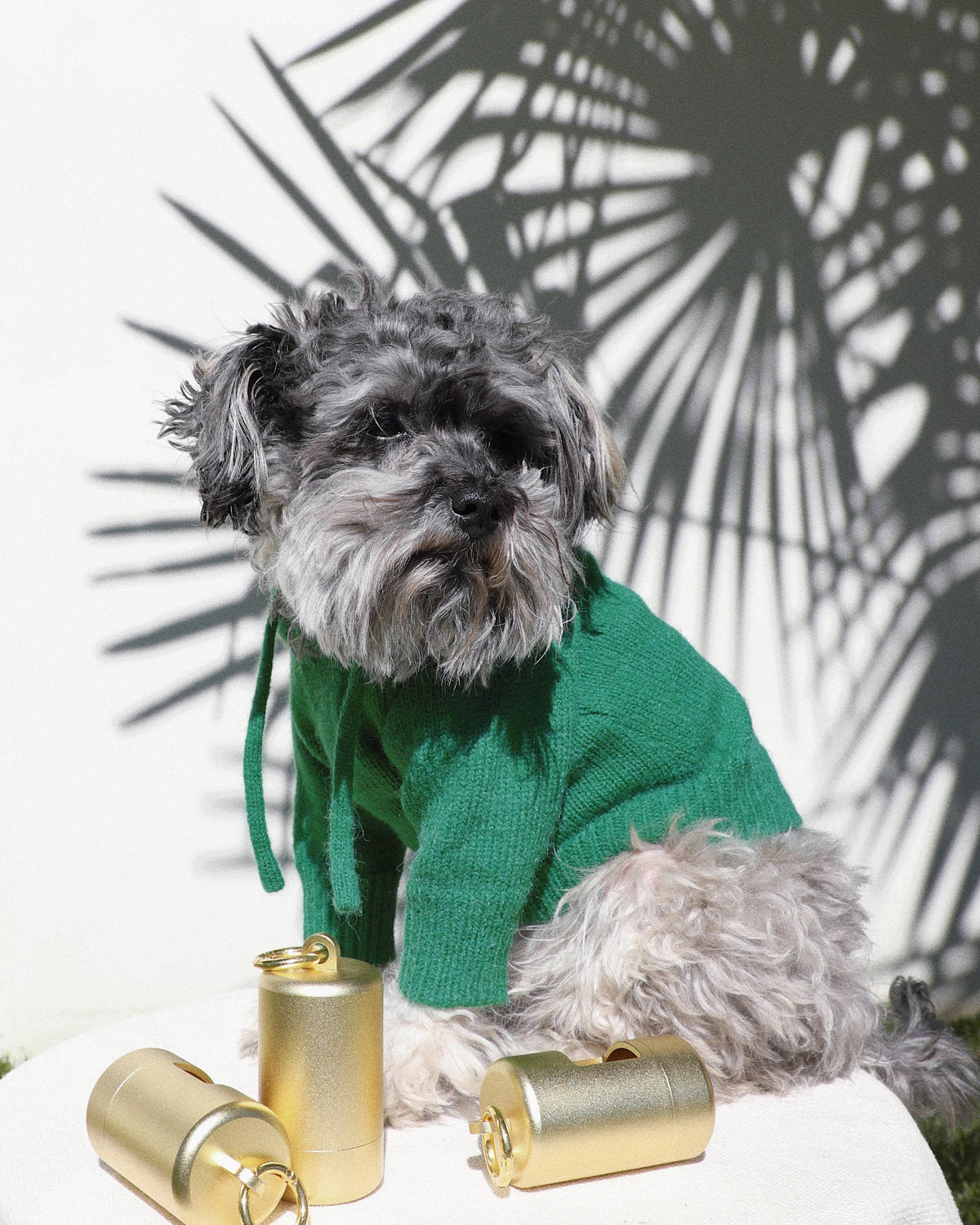 Dog Hoodie product image 8