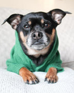 Dog Hoodie product image 10
