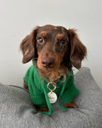 Dog Hoodie product image 12
