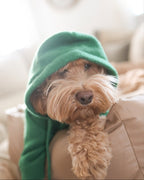 Dog Hoodie product image 13