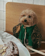 Dog Hoodie product image 14