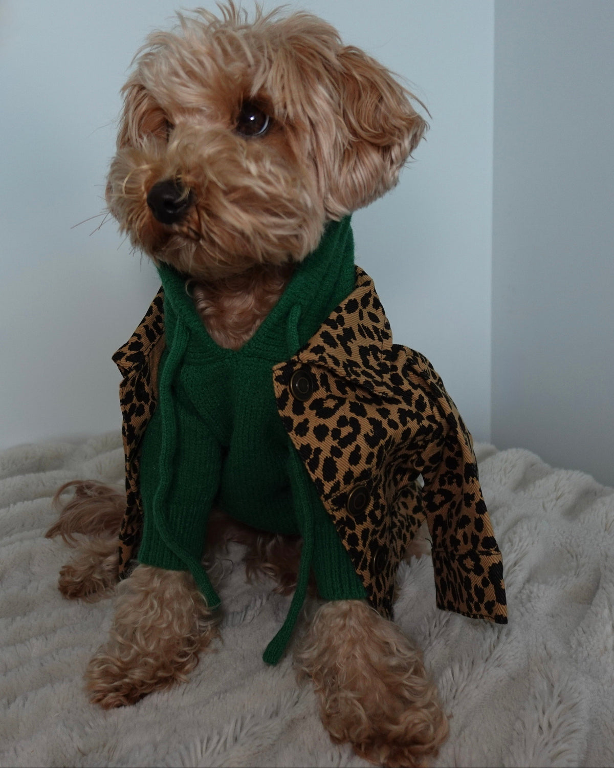 Dog Hoodie product image 16