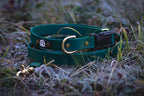 Hands-Free Dog Leash product image 2