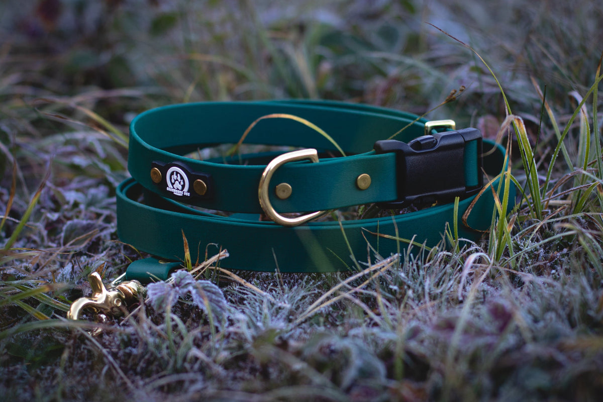 Hands-Free Dog Leash product image 2