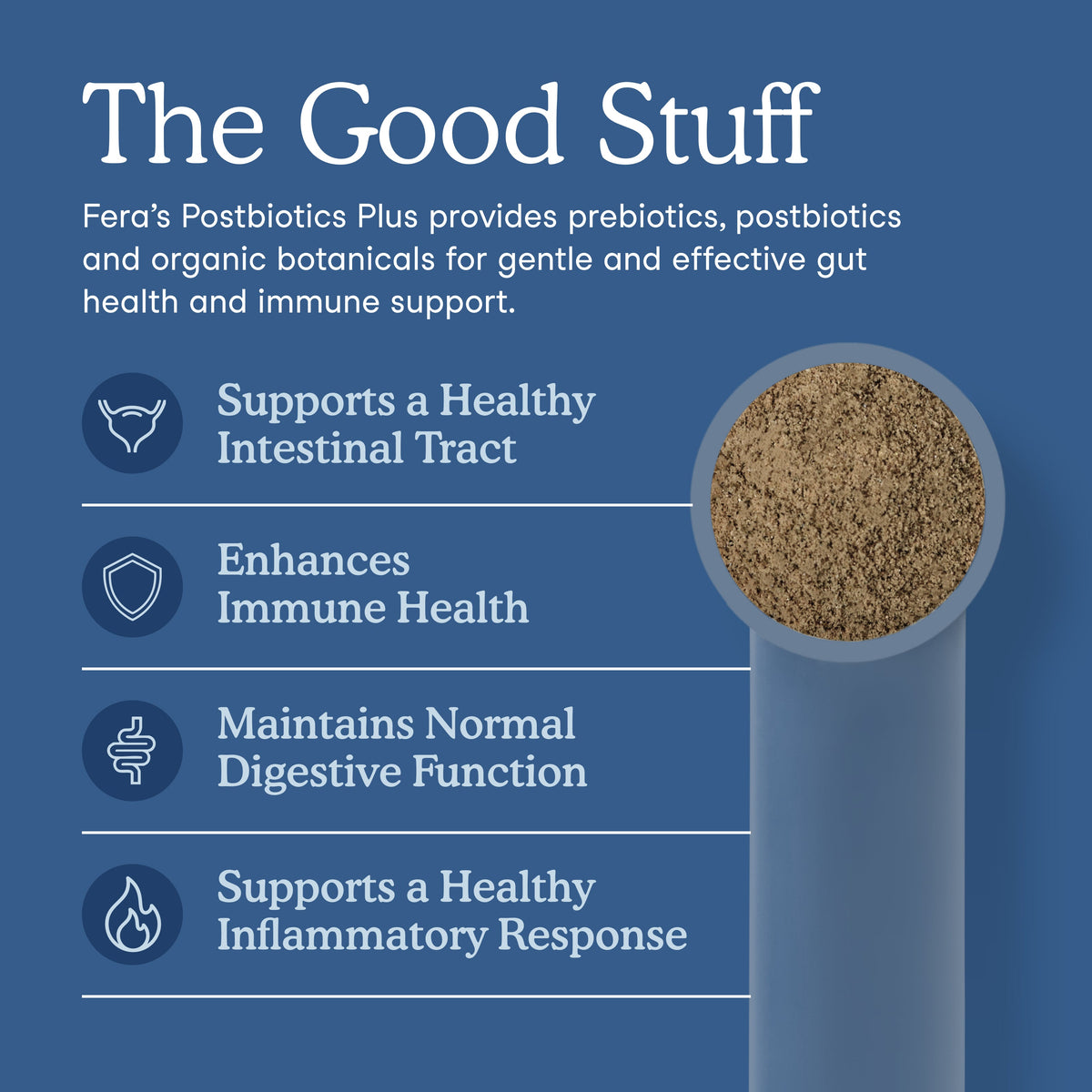 Gut Health Supplement product image 2