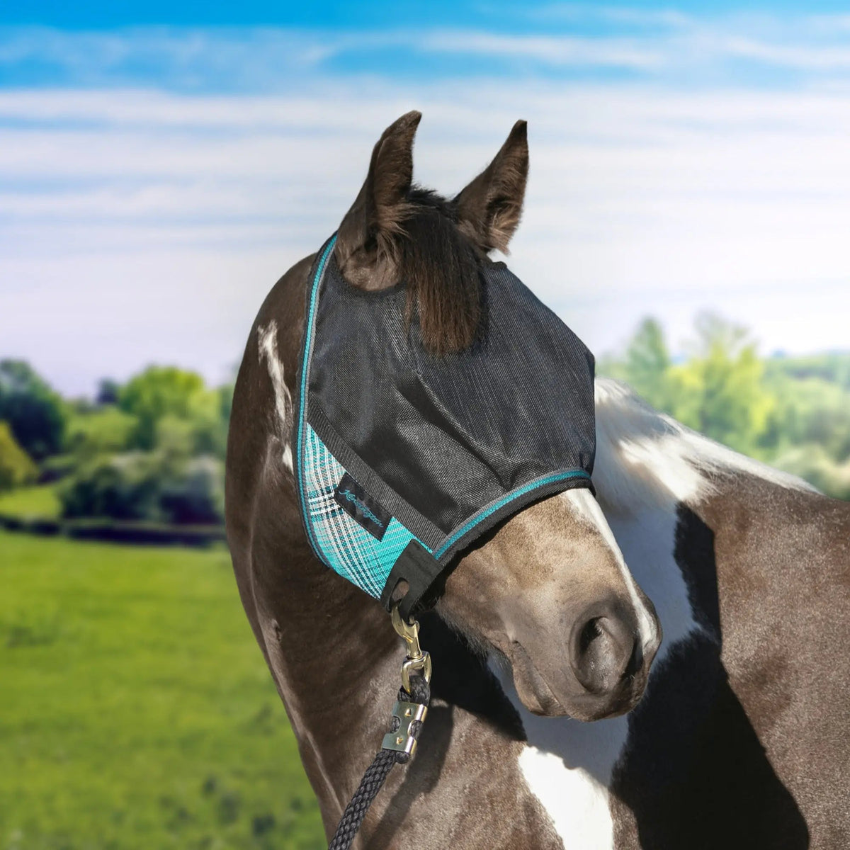 Horse Fly Mask product image 5