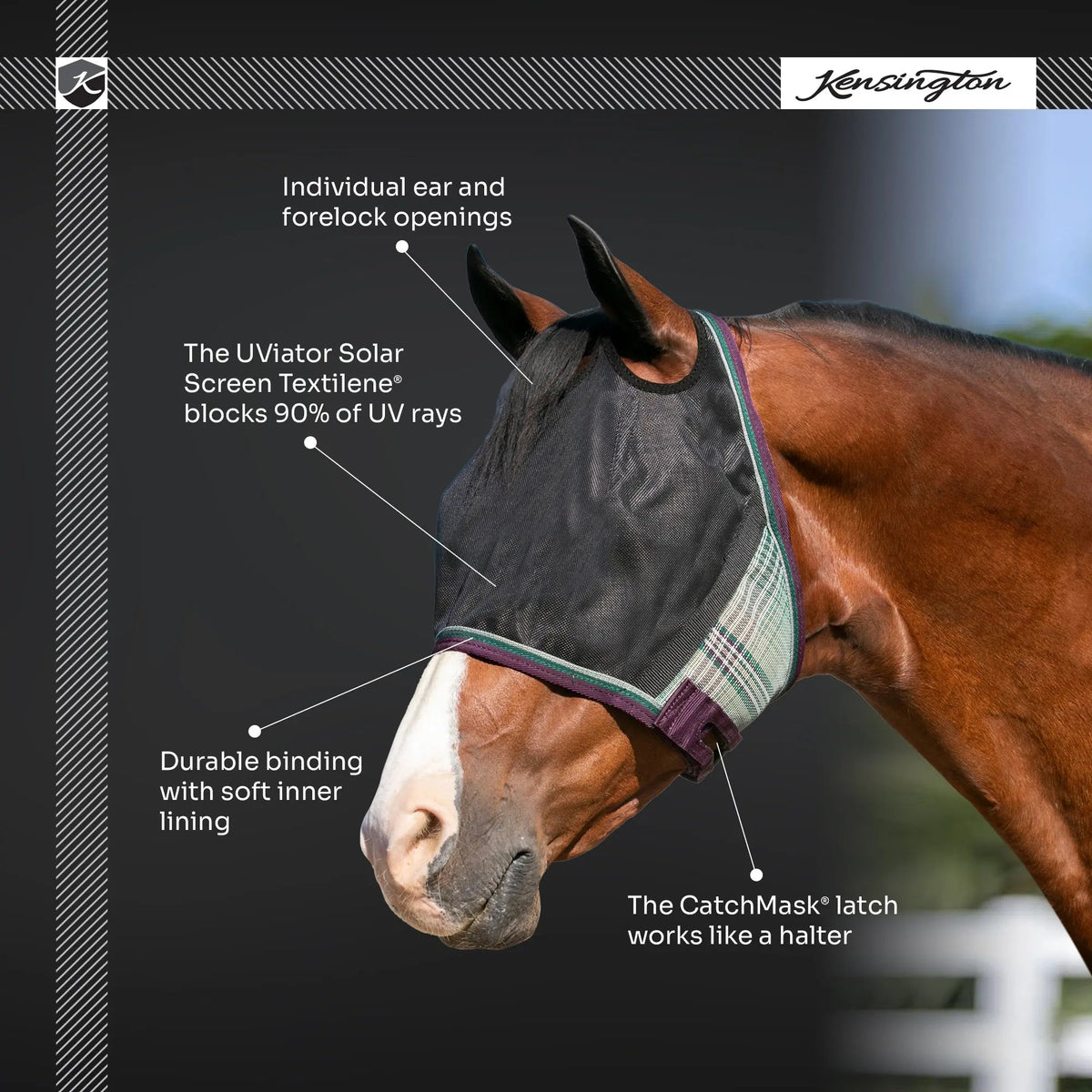 Horse Fly Mask product image 8