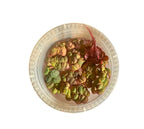 Live Aquarium Plants product image 1