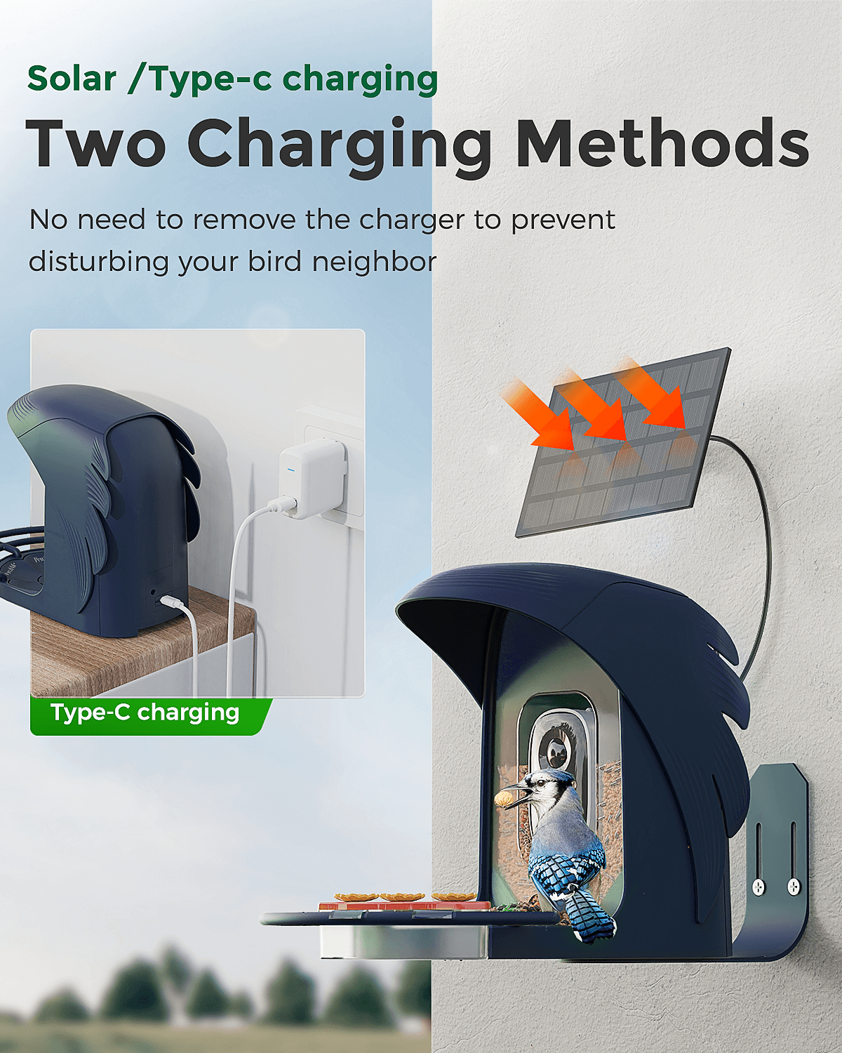 Smart Bird Feeder product image 5