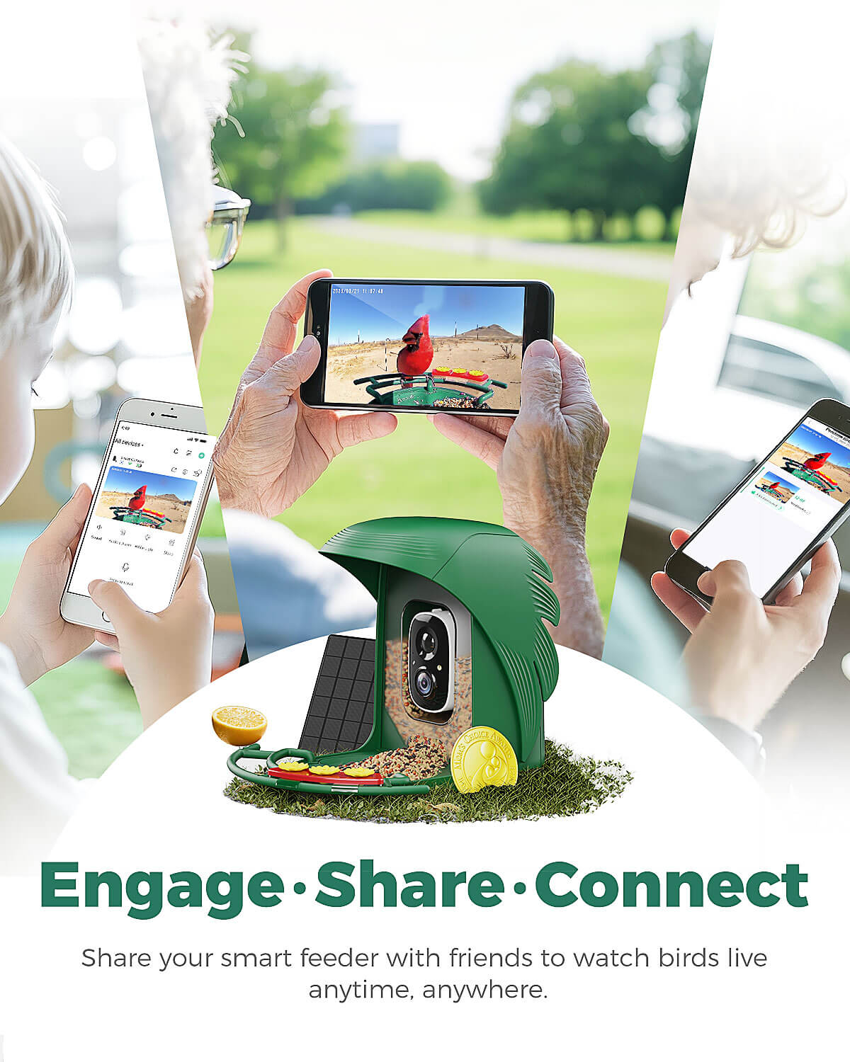 Smart Bird Feeder product image 17