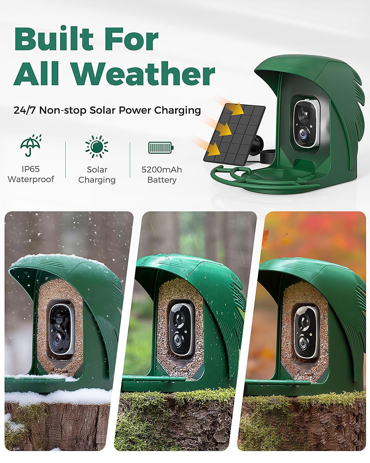 Smart Bird Feeder product image 18