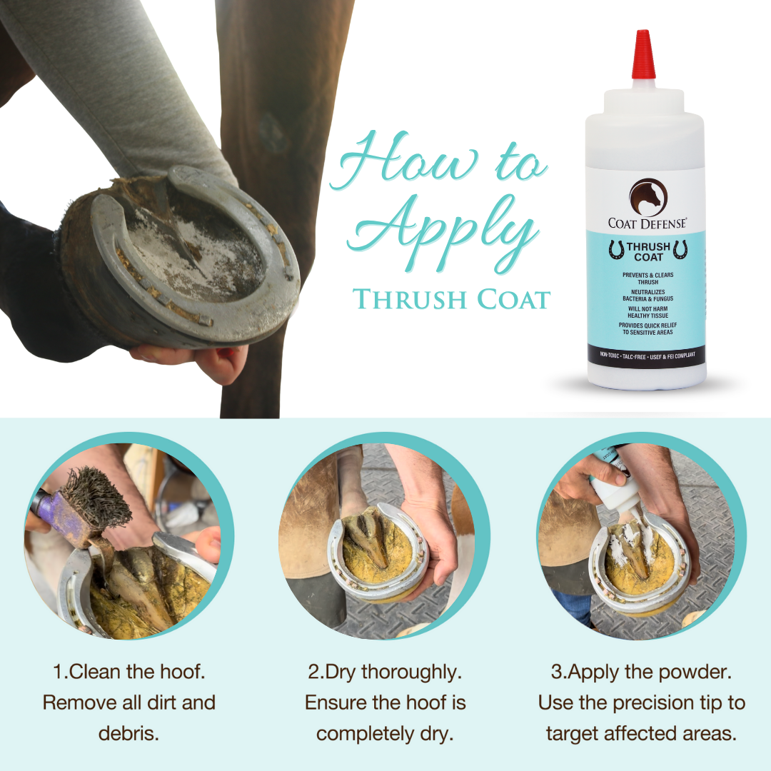 Horse Hoof Treatment product image 5