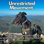 Escape-Resistant Sighthound Harness product image 6