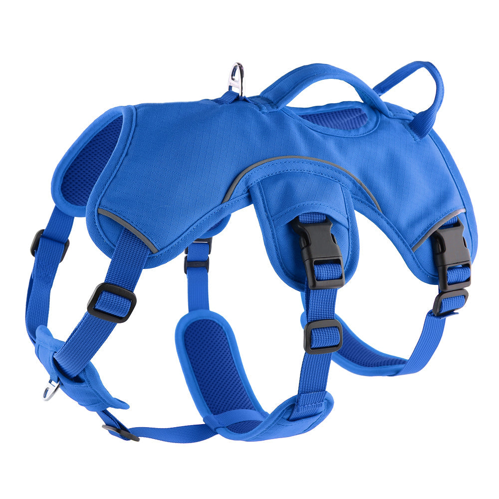 Escape-Resistant Sighthound Harness product image 19