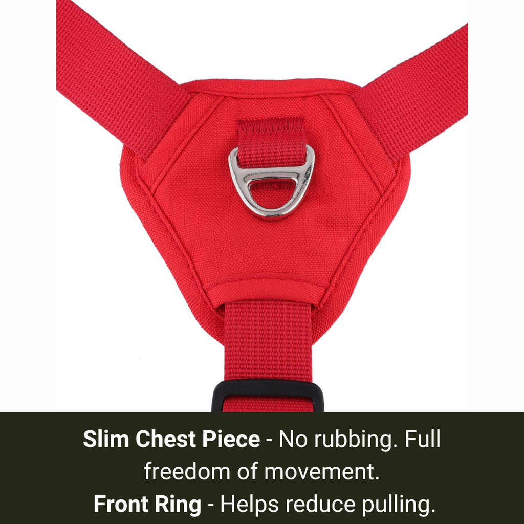 no pull sighthound harness with front ring