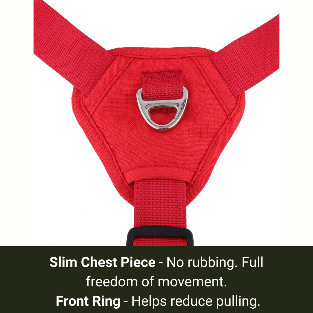 no pull sighthound harness with front ring