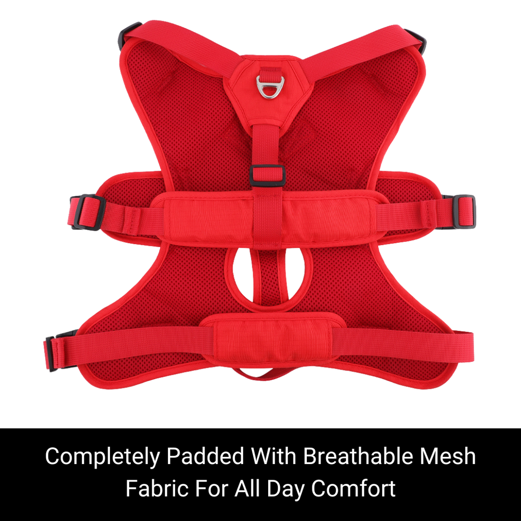 Escape-Resistant Sighthound Harness product image 27