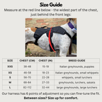 Escape-Resistant Sighthound Harness product image 32