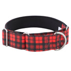 Martingale Dog Collar product image 5